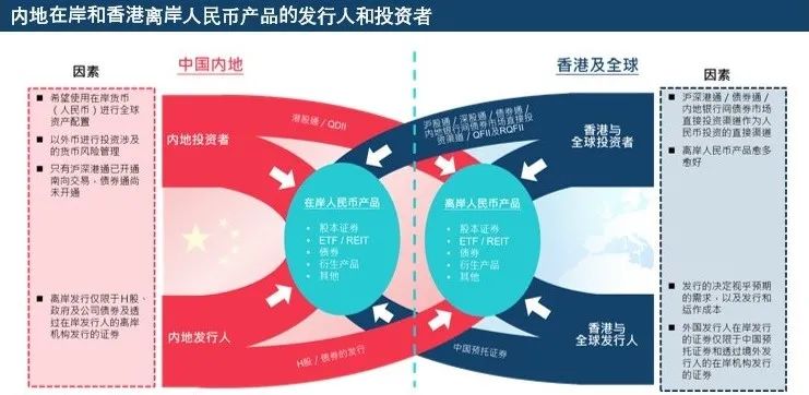 解析香港未来蓝图，2025香港免费精准资料与富强的落实策略