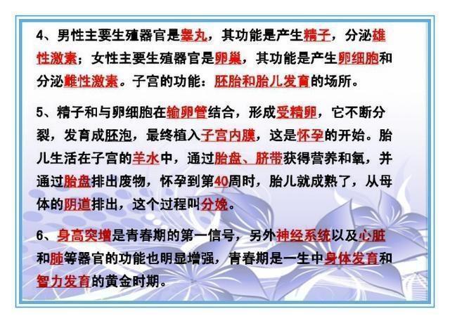 澳门一码一肖一特一中全年，解析与落实富强的关键要素